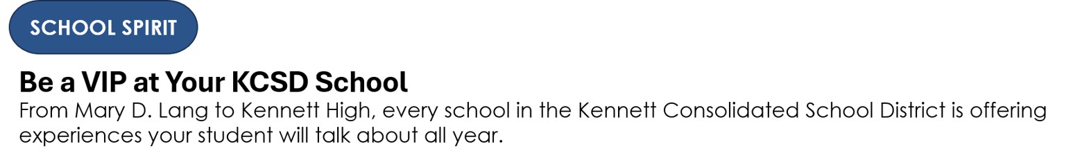 School Spirit v2.jpg